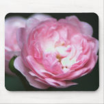 Pink Rose Mousepad!
