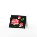 "Pink Rose" Note Card