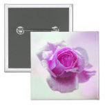 Pink Rose of love