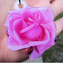Pink Rose Photo Sculpture photo sculptures
