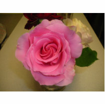 PINK ROSE (PHOTOSCULPTURE)