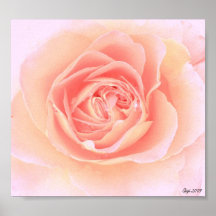 Pink Rose Print