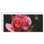 Pink Rose Customized Rack Card