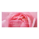 Pink Rose • Save the Date Announcement