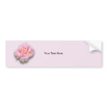 Pink Rose 'Scentsation' Bumper Sticker