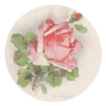 Pink Rose - Sticker