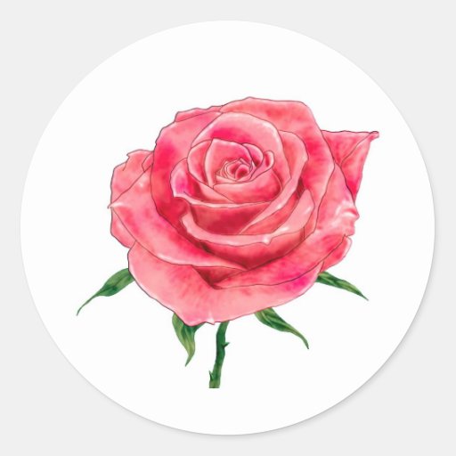 pink_rose_stickers r089836acdd8a4b28911d2c4b25d1ced9_v9waf_8byvr_512