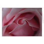 Pink Rose Swirl Cards - customizable