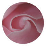 Pink Rose Swirl Stickers