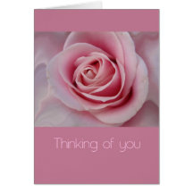 pink rose sympathy card