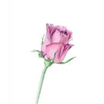 Pink Rose T-shirt