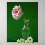 Pink Rose Vase Poster