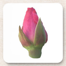 Pink Rosebud Coasters