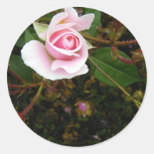 Pink Rosebud Round Stickers