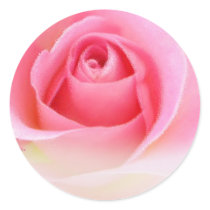 Pink rosebud stickers