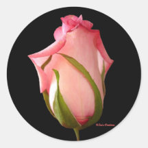 Pink Rosebud Stickers