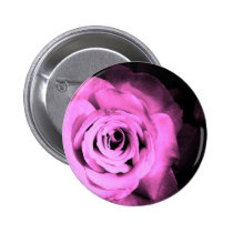 Pink Roses buttons