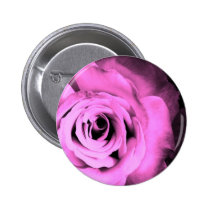 Pink Roses buttons