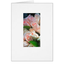 pink roses 2 cards