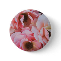 Pink Roses