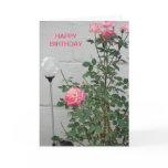 Pink Roses & Clear Gazing Ball, Birthday Greeting Card