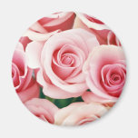 Pink Roses Fridge Magnets