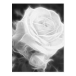 Pink Roses in Anzures 2 Crystal Postcard