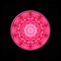 Pink Roses Kaleidoscope posters