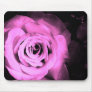 Pink Roses Mousepads