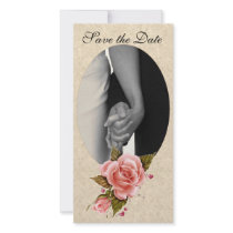 Pink Roses