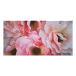 Pink Roses photo cards