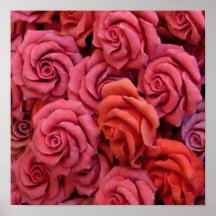 Pink roses print