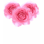 Pink Roses t-shirts