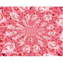 Pink Roses "Warp" #5
