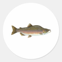 Pink Salmon Stickers