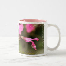 Pink Salvia Coffee Mug