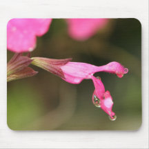 Pink Salvia Mouse Pad