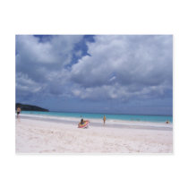 Pink Sands Post Card