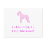 Pink Schnauzer Post Cards