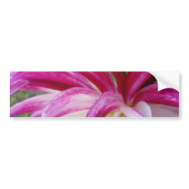 pink shot 2 bumper sticker