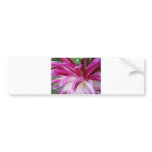 pink shot bumper stickers