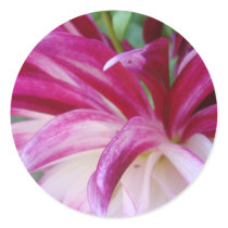 pink shot stickers
