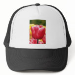Pink Single late tulips, 'Pink Supreme' flowers hats