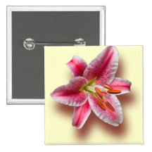 Pink Single Stargazer Lily