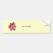 Pink Single Stargazer Lily Bumper Sticker