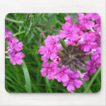 Pink Sissinghurst Mousepad