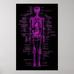 pink skeleton posters