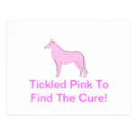 Pink Smooth Collie Postcard