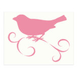 Pink Sparrow with Ribbon Postcards