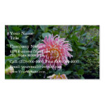 Pink Spider Dahlia Business Card
